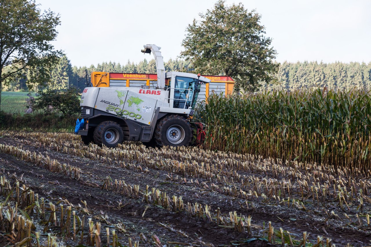 Bild 49 - Maisernte am 11.10.12